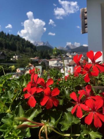 شقة La Casa Di Monte Ricco بييفي دي كادوري المظهر الخارجي الصورة