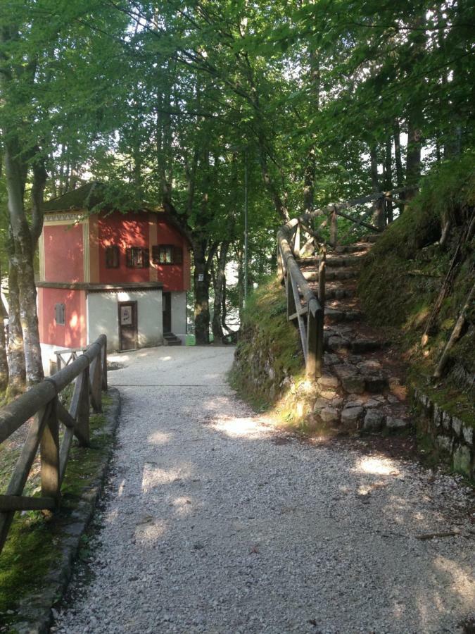 شقة La Casa Di Monte Ricco بييفي دي كادوري المظهر الخارجي الصورة